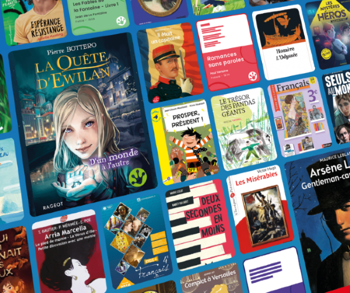 Catalogue de livre adaptés aux dys Mobidys.
