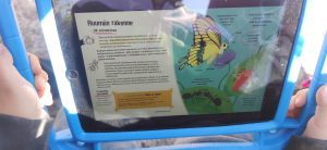 img_20220525_100231-300×138