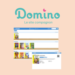 Participation au projet Domino