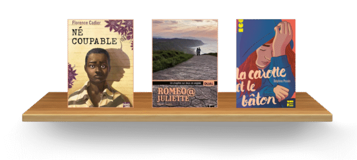 Sélection SONDO Injustice