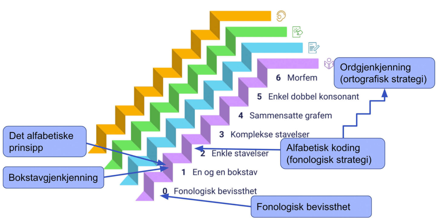 Grafisk fremstilling av Innhold i aski raski